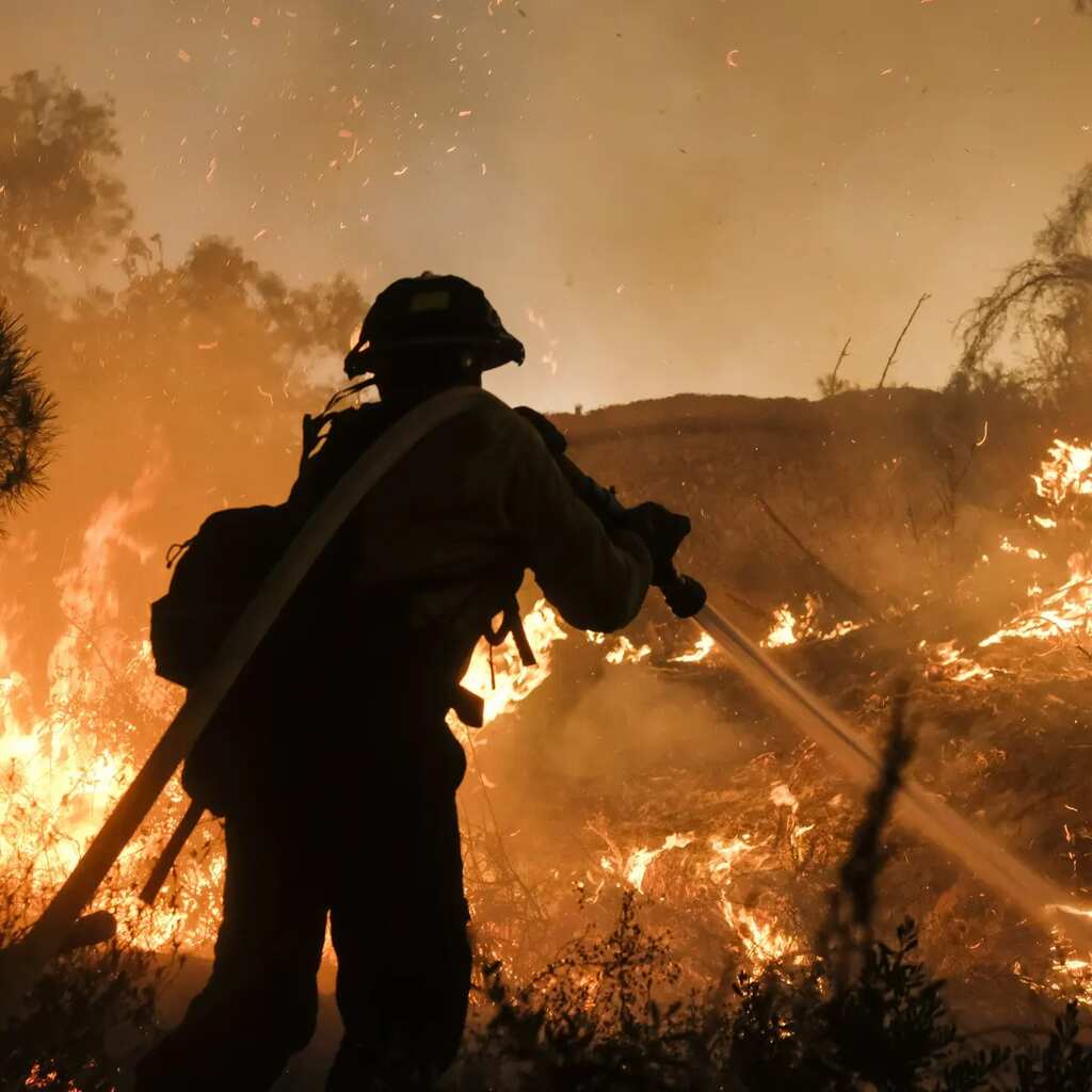 WION Climate Tracker | Wildfire in the US endangers 500 of world's largest trees