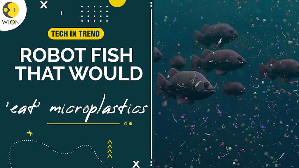 Chinese scientists develop robot fish that could help ocean clean-up