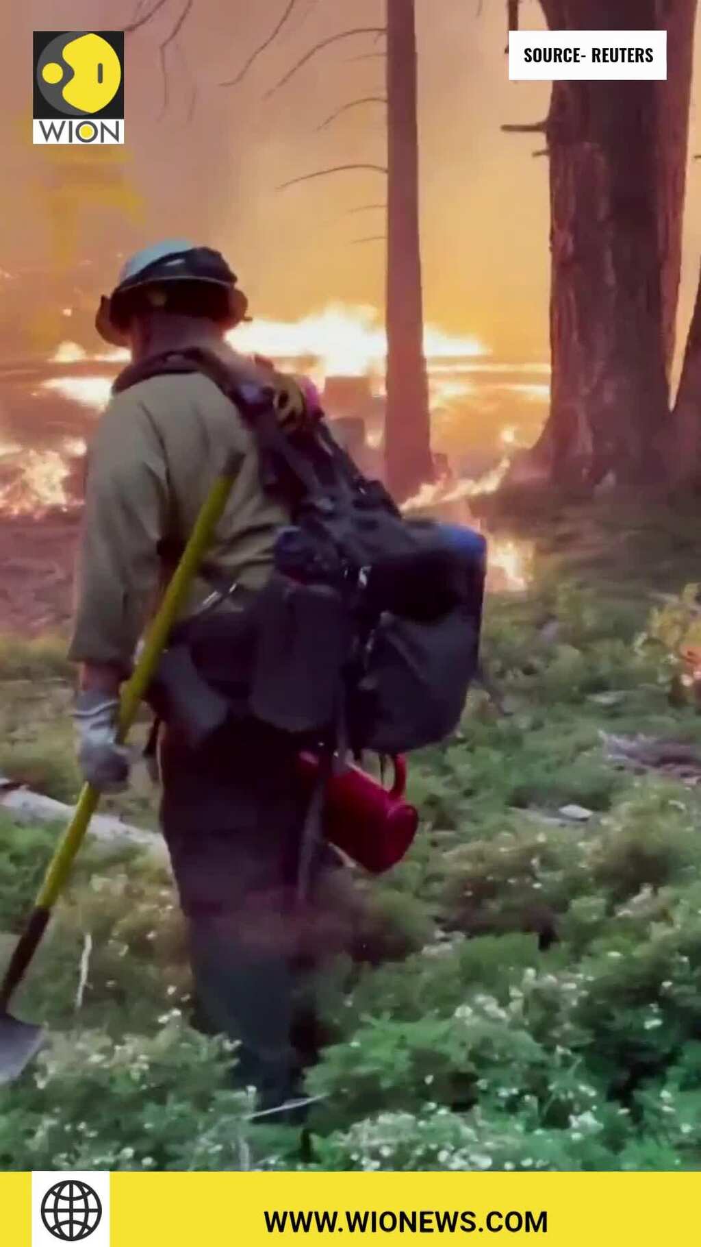 Fire brigades remove burnt trees to contain Yosemite wildfire