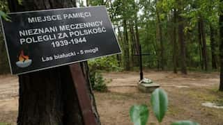 Mass grave with remains of 8,000 discovered at a former Nazi Germany camp in Poland