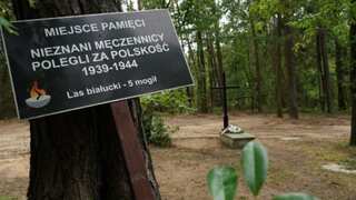 Mass grave with remains of 8,000 discovered at a former Nazi Germany camp in Poland