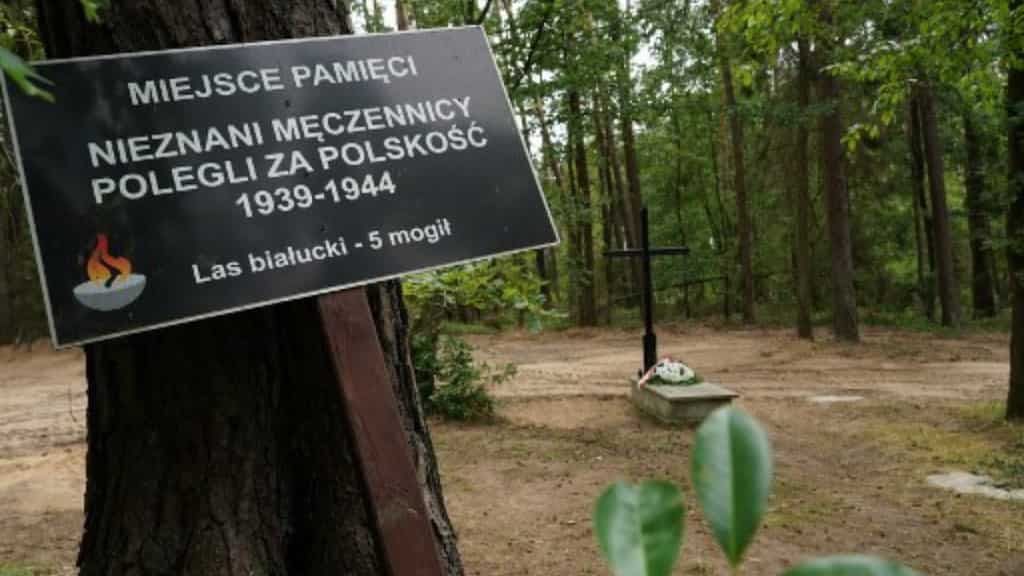 Mass grave with remains of 8,000 discovered at a former Nazi Germany camp in Poland