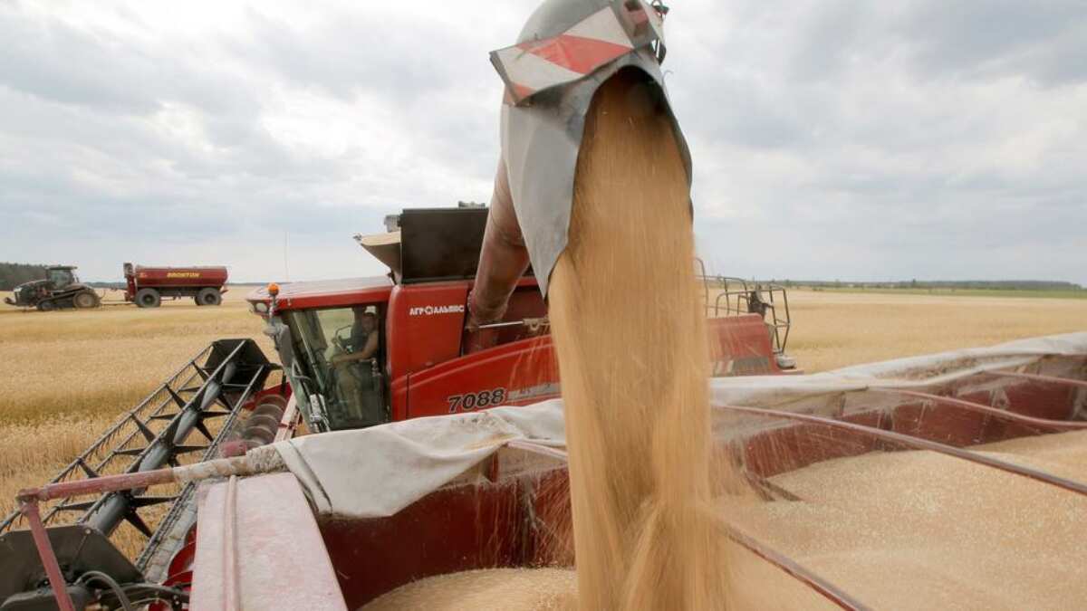 Turkiye brokers deal with Ukraine, Russia and UN to resume grain exports Turkiye brokers deal with Ukraine, Russia and UN to resume grain exports