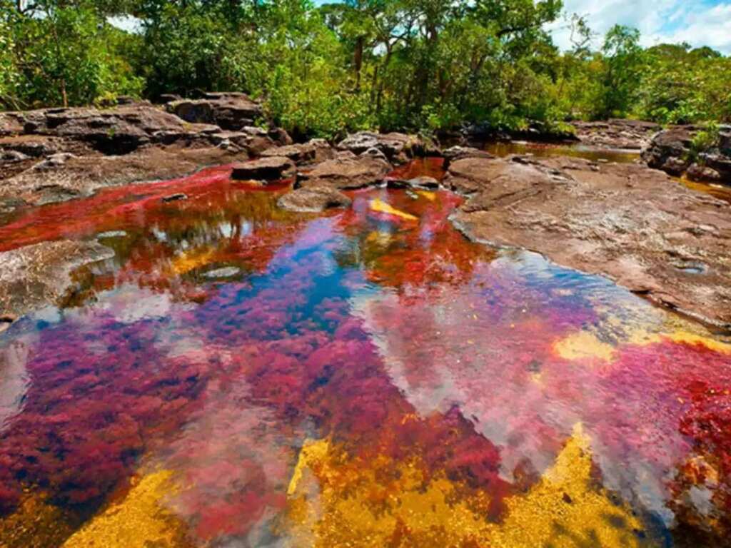 WION Climate Tracker: Kaleidoscopic river draws tourists, Colombia wants to end reliance on oil