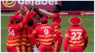 T20 World Cup: Zimbabwe, Netherlands qualify for marquee event Down Under