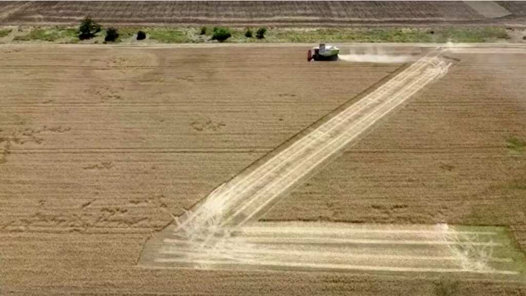 Russia-Ukraine war: Here's why Crimean farmers mark field with 'Z' and 'V'
