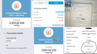 #SriLankaDollarChallenge: Sri Lankans abroad try to save country's economy via viral internet trend