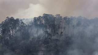 5 major countries dealing with ‘hell’ in Europe's heat