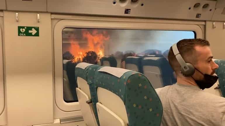 WATCH | Passengers in shock as train halts in middle of wildfire in Spain