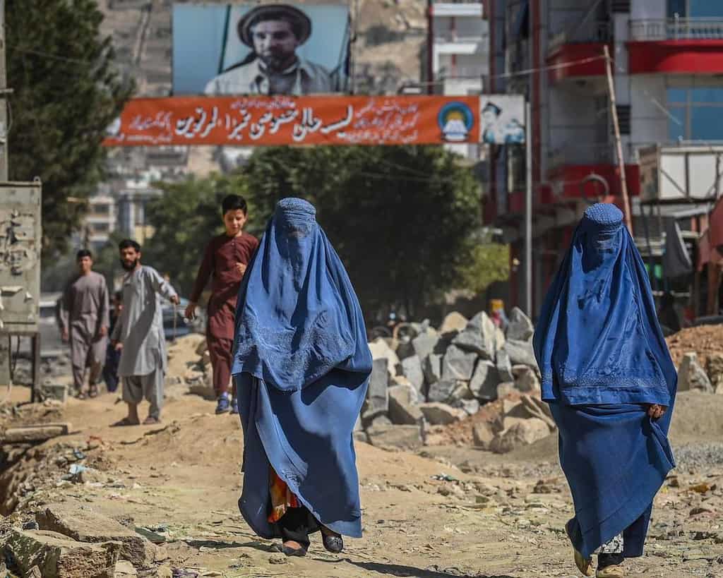 WION Fineprint | Taliban to women: Send us a man to do your job