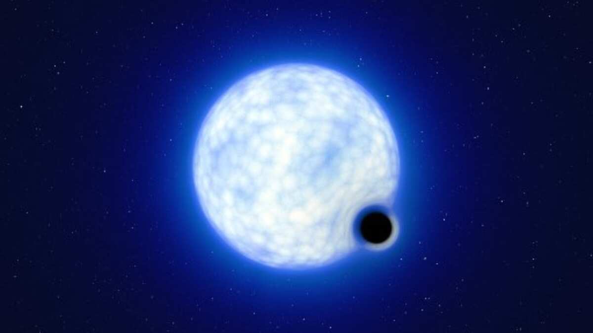 'Needle in a haystack': Dormant stellar-mass black hole found outside the Milky Way 'Needle in a haystack': Dormant stellar-mass black hole found outside the Milky Way