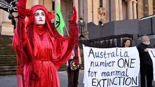 'Shocking' report lists devastation to Australia wildlife