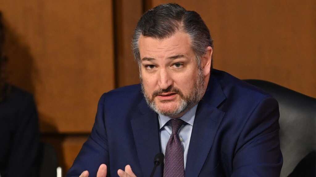 High court gay marriage legalisation was clearly wrong, says controversial US Senator Ted Cruz