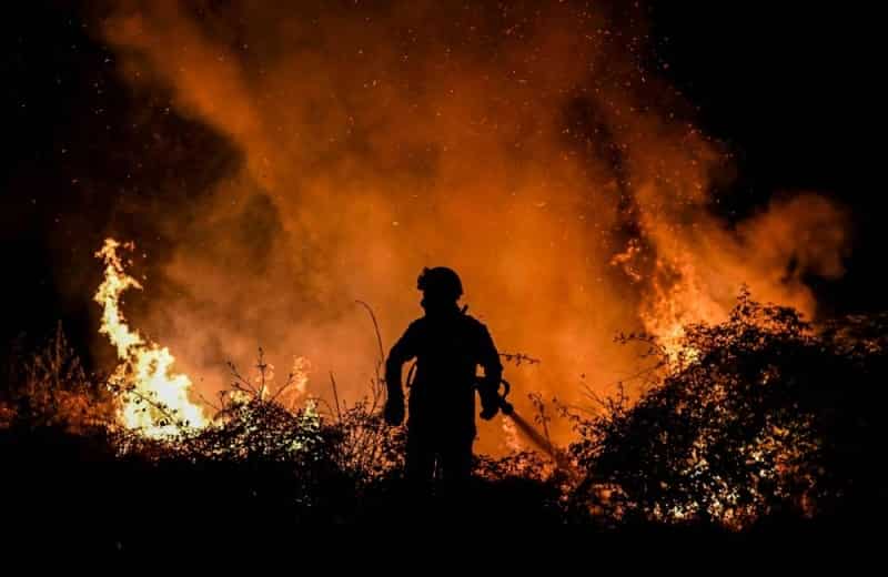 WION Climate Tracker: Passengers experience 'moments of panic' as wildfires threaten Spain's Zamora