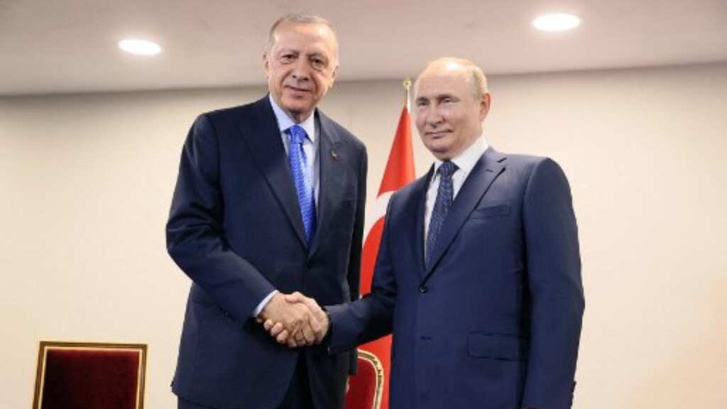 Putin thanks Erdogan for mediation efforts, says some progress in Ukraine grain talks