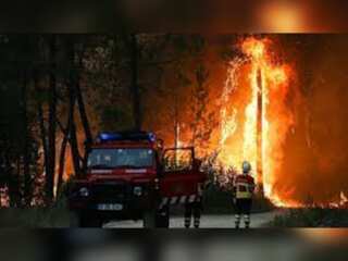Heat wave bakes Western Europe, deadly wildfires sweep across continent | WION Climate Tracker