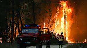 Heat wave bakes Western Europe, deadly wildfires sweep across continent | WION Climate Tracker