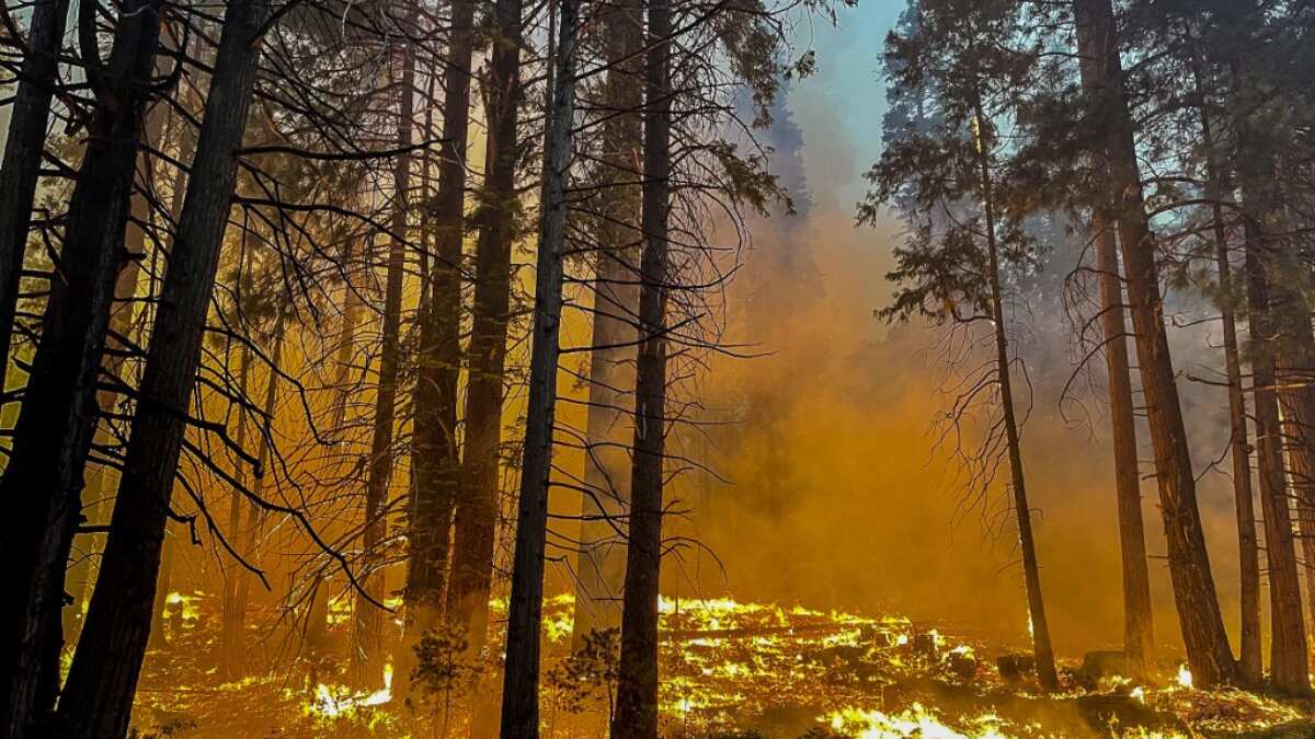 Wildfires raging in 13 US states, over 100 million Americans under threat