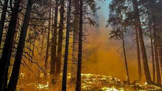 Wildfires raging in 13 US states, over 100 million Americans under threat