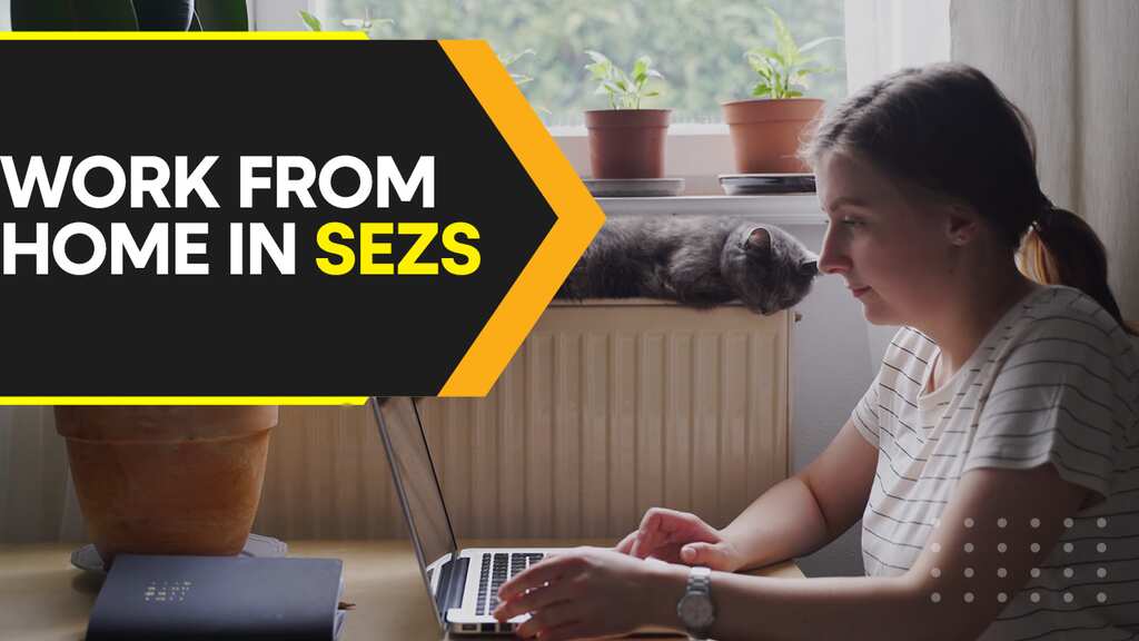 Commerce Ministry permits work from home in Special Economic Zones