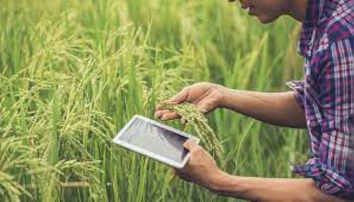 WION Climate Tracker | German pilot project combines solar power and fruit growing