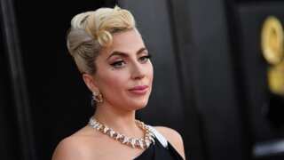 James Howard Jackson: Alleged shooter of Lady Gaga's dog walker freed by mistake