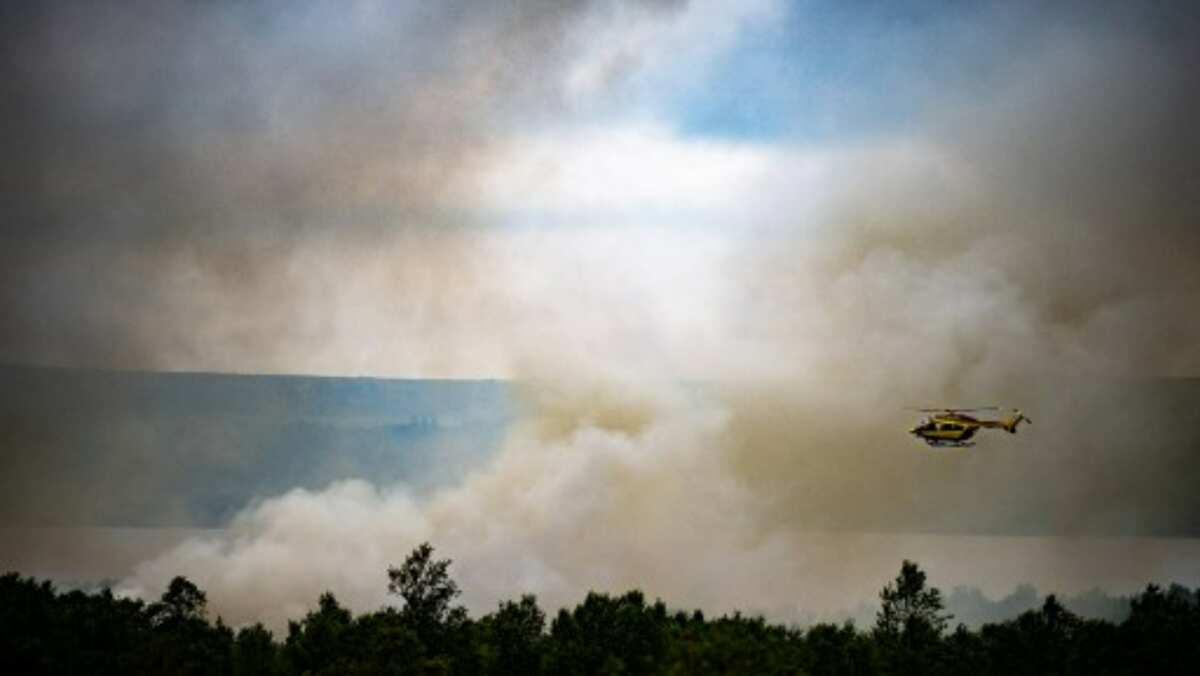 France: Raging wildfires force evacuation of 363 animals from zoo France: Raging wildfires force evacuation of 363 animals from zoo