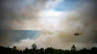 France: Raging wildfires force evacuation of 363 animals from zoo