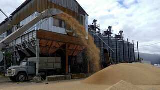 Ukraine looks to ship food grains this week despite attack on Odessa port