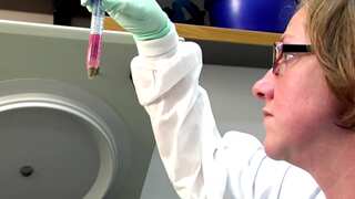 Polio case found in New York City suburb, first known case in nearly a decade