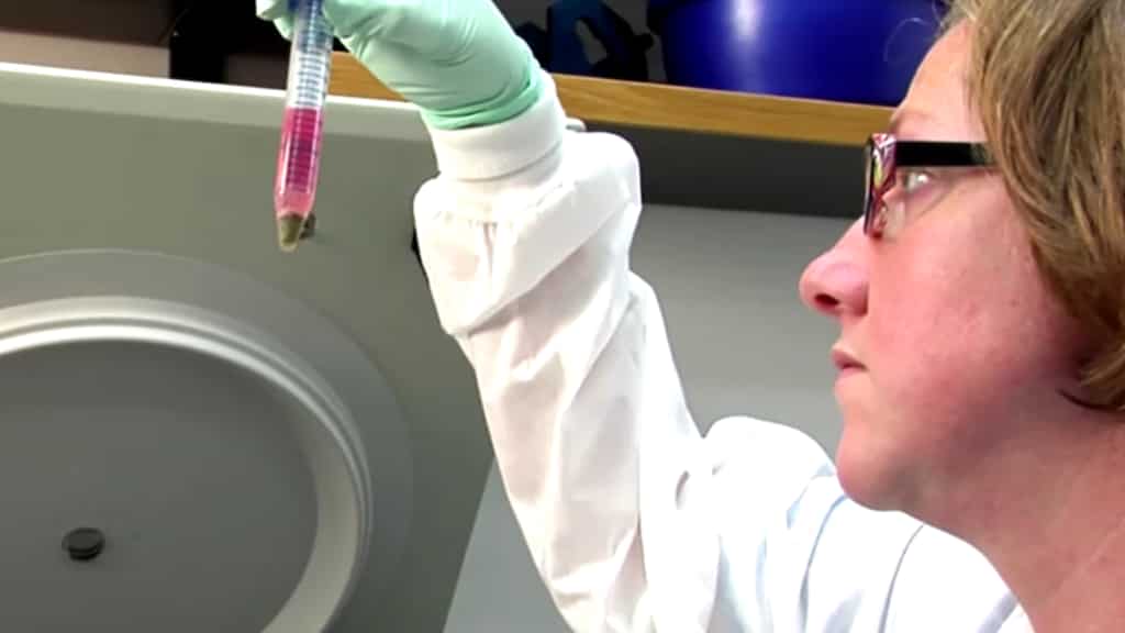 Polio case found in New York City suburb, first known case in nearly a decade