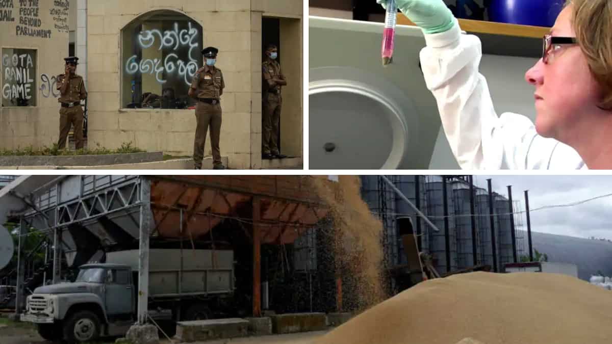 Morning news brief: Lankan forces crack down on anti-govt protesters, polio detected in New York and more