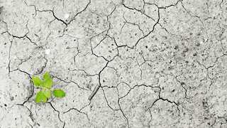 African climate summit starts in Congo ahead of COP27