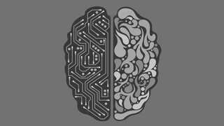 AI tools help scientists to find hominins used fire 800k years ago