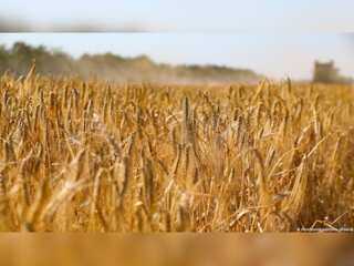 Grain export deal between Russia, Ukraine to be signed in Turkiye today