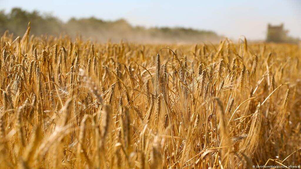 Grain export deal between Russia, Ukraine to be signed in Turkiye today