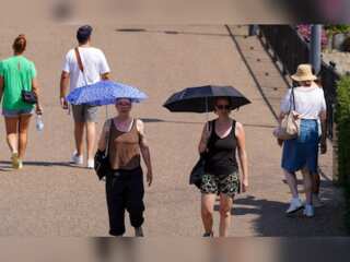 WION Climate Tracker | Heat wave in Europe causes wildfires across continent