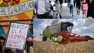 Top 10 world news: Ukraine-Russia grain export deal, Covid deaths in New Zealand, and more