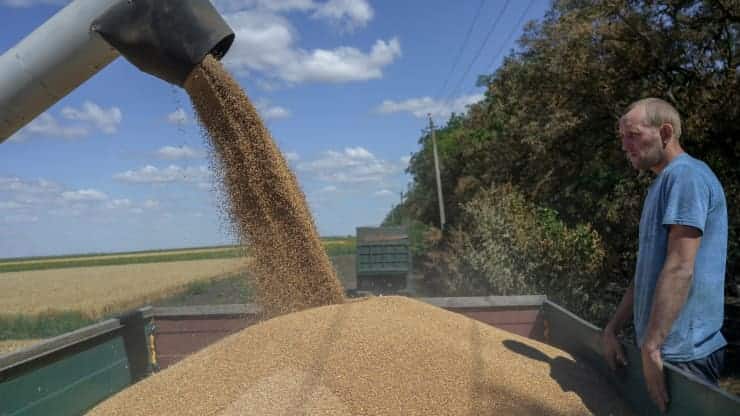 Russia and Ukraine reach grain deal: Wheat prices drop to pre-war levels Russia and Ukraine reach grain deal: Wheat prices drop to pre-war levels
