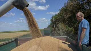 Russia and Ukraine reach grain deal: Wheat prices drop to pre-war levels