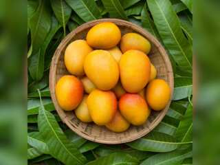 The Good Life:  A tribute to the Mango!
