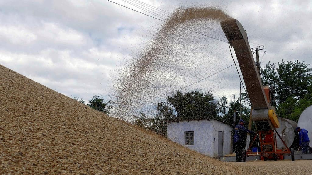 Russia, Ukraine sign grain export deal in Turkiye