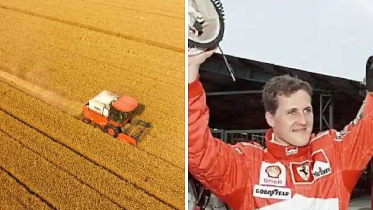 Morning news brief: US accuses China of stockpiling grain, Oz journalist detained by Taliban and more