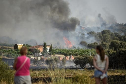 Dutch reforestation company says it accidentally caused wildfire in Spain