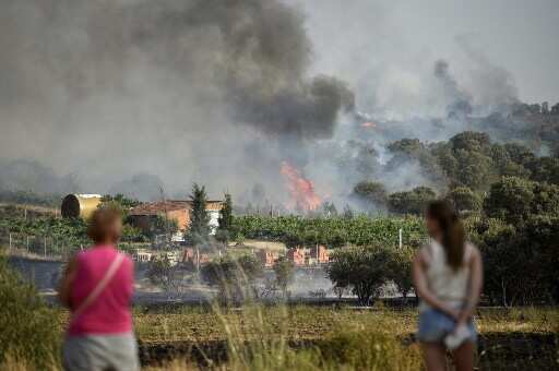 Dutch reforestation company says it accidentally caused wildfire in Spain