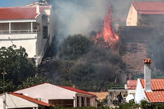 Hundreds forced to flee vacation resort in Lesbos due to wildfire