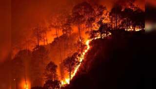 WION Climate Tracker: Fire breaks out near Mariposa County, Blaze spreads to Sierra national forest
