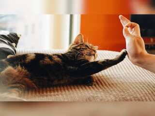 The Good Life: A new way to pamper