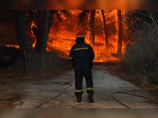 Wildfires burn coastal homes in Greece, hundreds evacuated from Lesbos | WION Climate Tracker