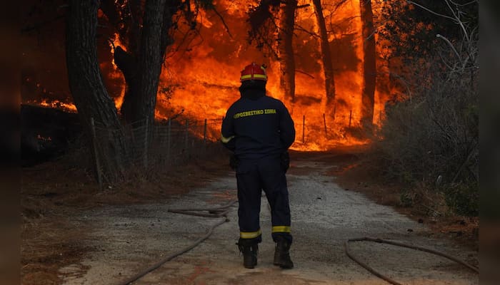 Wildfires burn coastal homes in Greece, hundreds evacuated from Lesbos | WION Climate Tracker